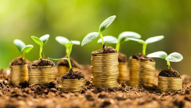 بازیگری بخش کشاورزی در بورس