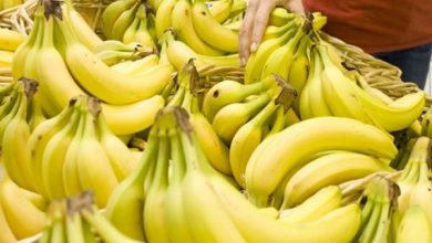 تداوم ممنوعیت ثبت سفارش واردات موز