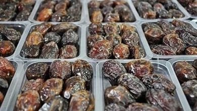 تولید خرمای گواهی شده در آبادان