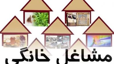 حمایت از توسعه مشاغل خانگی با صدور مجوز در خوزستان