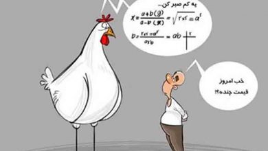 سیاست غلط خرید تضمینی محصولات استراتژیک، علت عمده گرانی مرغ