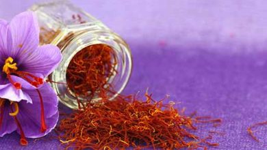 صادرات 118 میلیون دلاری زعفران/ پنج کشور مشتری 84 درصد زعفران ایران