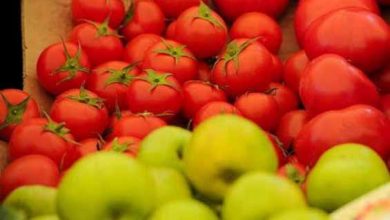 منع واردات روسیه از آذربایجان فرصت بزرگی برای کشاورزی ایران