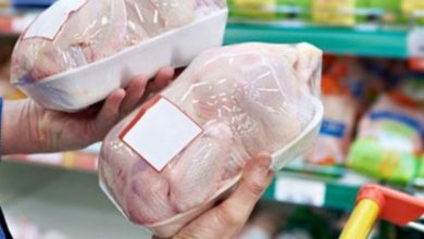 چرا مردم به مصرف مرغ‌های درشت و سنگین تمایل دارند؟