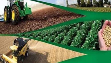 ارزش سالانه تولیدات بخش کشاورزی 68 هزار میلیاردریال است