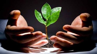 اهمیت استفاده از ظرفیت‌های کارآفرینی در بخش کشاورزی