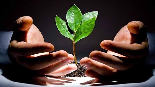 اهمیت استفاده از ظرفیت‌های کارآفرینی در بخش کشاورزی