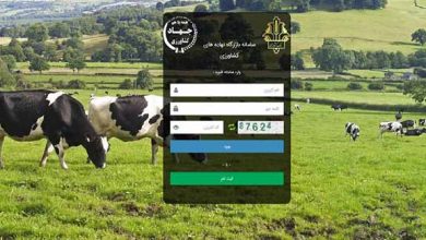 بازارگاه مشکل سیستمی ندارد /جهاد باید تنخواه کارخانجات را صادر کند