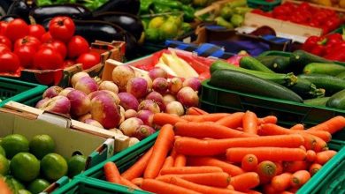 بخشنامه‌های خلق‌الساعه‌ بلای جان صادرات محصولات کشاورزی