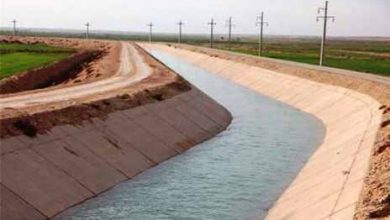 همکاری ایران و فائو در زمینه کاهش برداشت آب در دشت قزوین