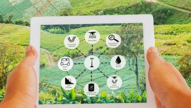 هوشمند سازی لازمه حرکت به سمت کشاورزی تجاری