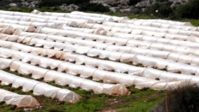 کشاورزی در زمهریر سرخ قلعه