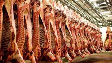 آذربایجان غربی قطب تولید گوشت کشور