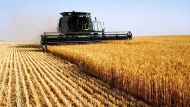 بخش کشاورزی محور توسعه اقتصادی کشور است