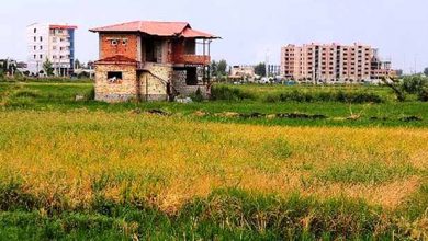 تغییر کشاورزی از فرآیند معیشت محور به تجاری