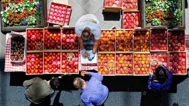 مدیریت واحد زنجیره ارزش راهکار تنظیم بازار محصولات کشاورزی است