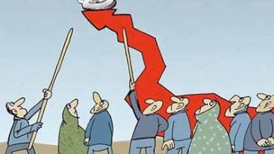 مرغداران: نوسان قیمت مرغ نتیجه تصمیمات ستاد تنظیم بازار است