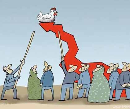 مرغداران: نوسان قیمت مرغ نتیجه تصمیمات ستاد تنظیم بازار است