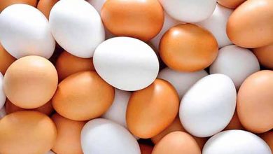 مشکلات بازار تخم مرغ مربوط به شبکه توزیع است