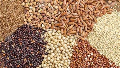 واردات نهاده های دام و طیور به صورت رسوبی، با تشویق دولت بود