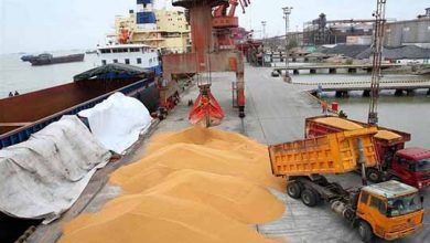 چه کسانی مانع واردات نهاده دام ارزان‌تر از روسیه و قزاقستان هستند؟