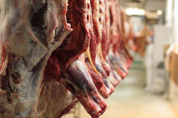 کنترل بازار گوشت با حذف واسطه‌ها و دلالان