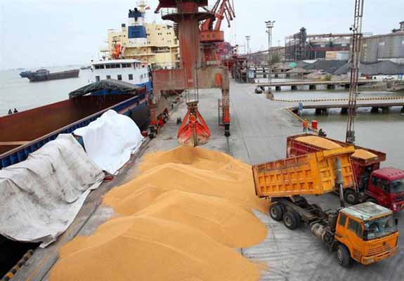 گِله قدیمی از انحصار واردات نهاده دام در دست ۱ نفر/ چرا دولت ایران هیچ‌گاه قدرت برخورد با ۱ دلال را نداشته است؟