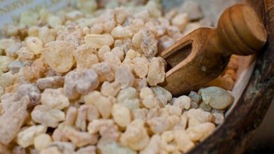 از کردستان چه به یادگار بخریم؟