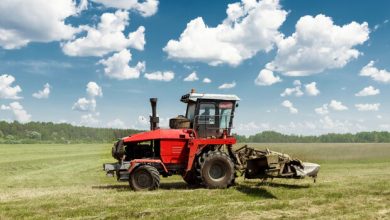 جزئیات رشد اقتصادی در فصل پاییز/گروه کشاورزی همچنان می‌تازد