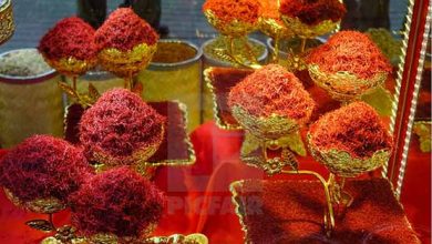 صادرات زعفران 450 میلیون دلار شد