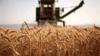 عملکرد ضعیف وزارت جهاد در بخش تعاونی های کشاورزی