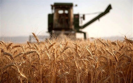 عملکرد ضعیف وزارت جهاد در بخش تعاونی های کشاورزی