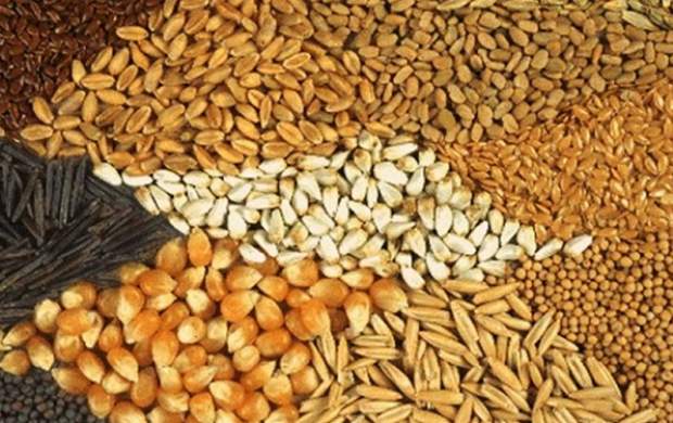 فروشندگان، نهاده‌ها را با تاخیر بدست تولیدکنندگان می رسانند