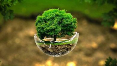 «معجزه آبخیزداری»| باغ قرآنی؛ بهترین راه مقابله با چالش های زیست محیطی/