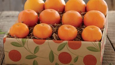 ممنوعیت صادرات مرکبات منتفی شد