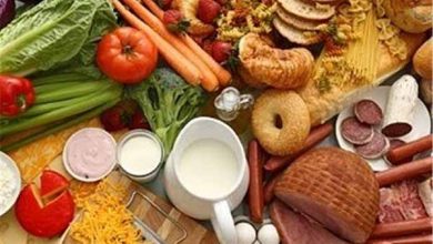 گردش مالی فروش یک غذا در آلمان برابر فروش نفت ایران!