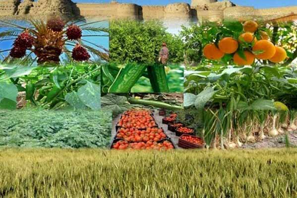 برگزاری اولین نمایشگاه فوق تخصصی زنجیره‌های ارزش محصولات باغبانی 2021 از حلقه تحقیق و توسعه تا فروش