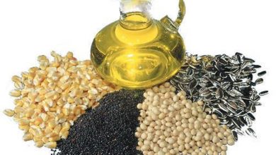 دانه‌های روغنی با نرخ مصوب شورای قیمت‌گذاری خریداری می‌شود