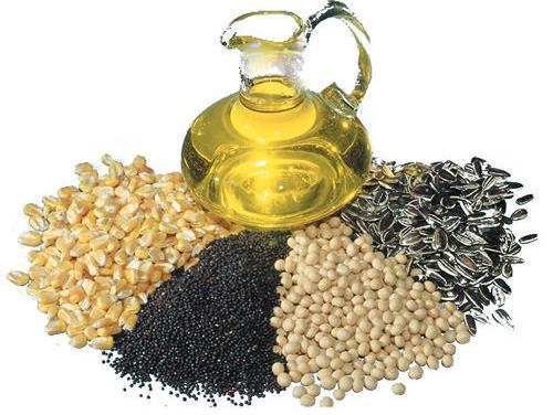 دانه‌های روغنی با نرخ مصوب شورای قیمت‌گذاری خریداری می‌شود