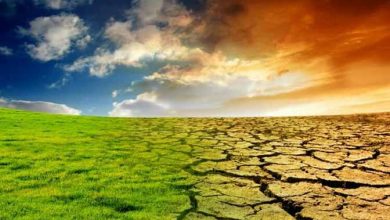 زنگ خشکسالی در مازندران به صدا درآمد؟