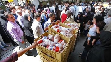 شرط اصلی ایجاد ثبات در بازار مرغ، نظارت بر توزیع است