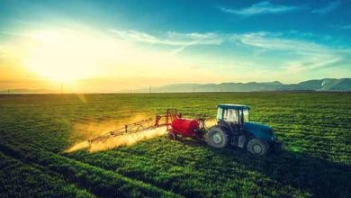 پارادوکس امنیت غذایی و کسری بودجه