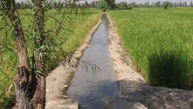 تامین حقابه‌ و اجرای قانون، مهمترین مطالبه کشاورزان اصفهانی