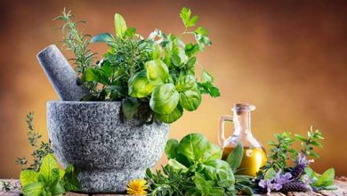 گیاهان دارویی یکی از ظرفیت‎های نهفته شهرستان بن است