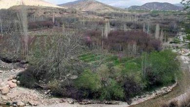 روستای هدف گردشگری«حیدرآباد» ایلام