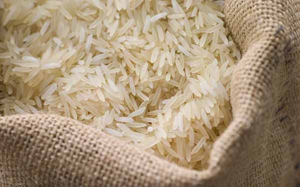 نگرانی شالیکاران مازندران از زمزمه‌های واردات برنج‌ خارجی