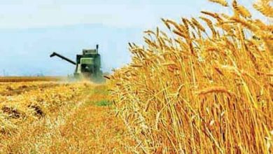چرا خودکفایی در تولید محصولات کشاورزی مهم است؟