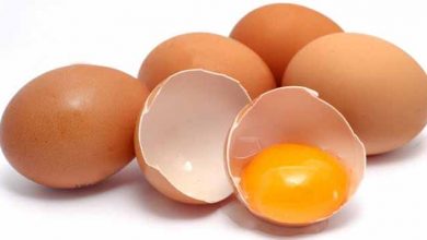 سه ویژگی که نشانگر سلامت مرغ تخمگذار و پوستۀ تخم مرغ است