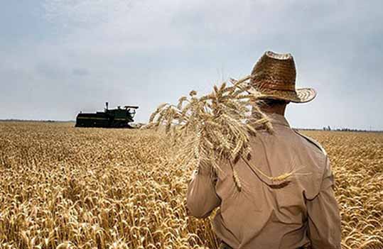 کشاورزان در ایران بی‌پناه هستند