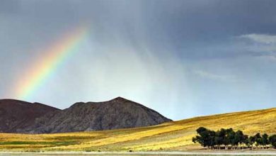 باران در کویر امارات با بارور کردن ابرها